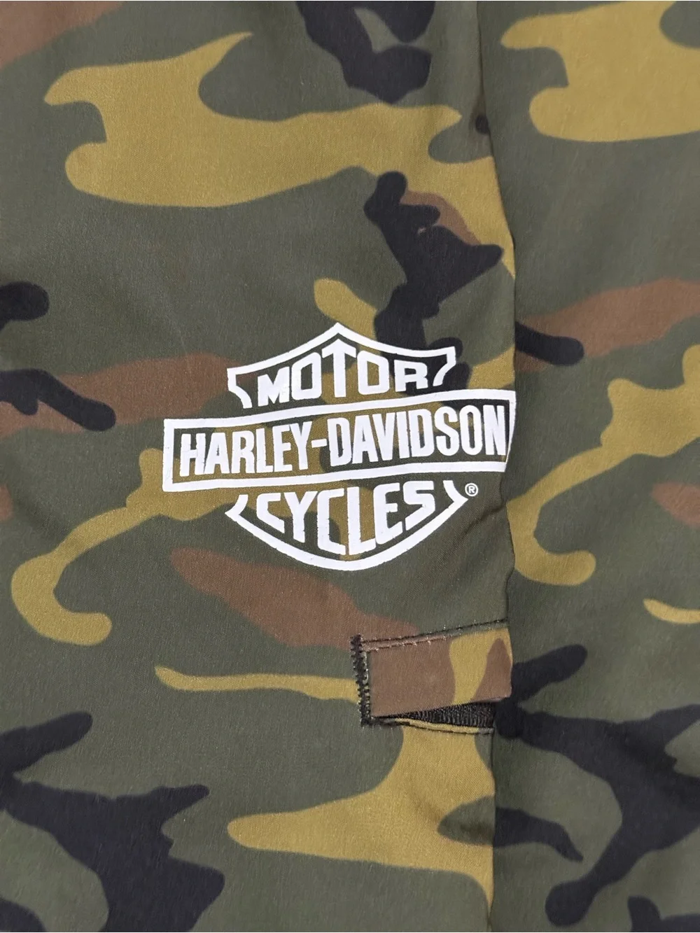 Harley-Davidson harley davidson